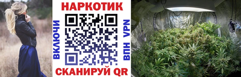 APVP Красноярск