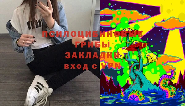 дмт Алексин
