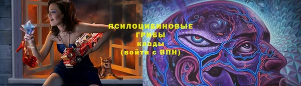 тгк Алзамай