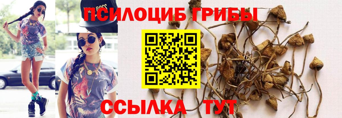 Галлюциногенные грибы Cubensis Красноярск