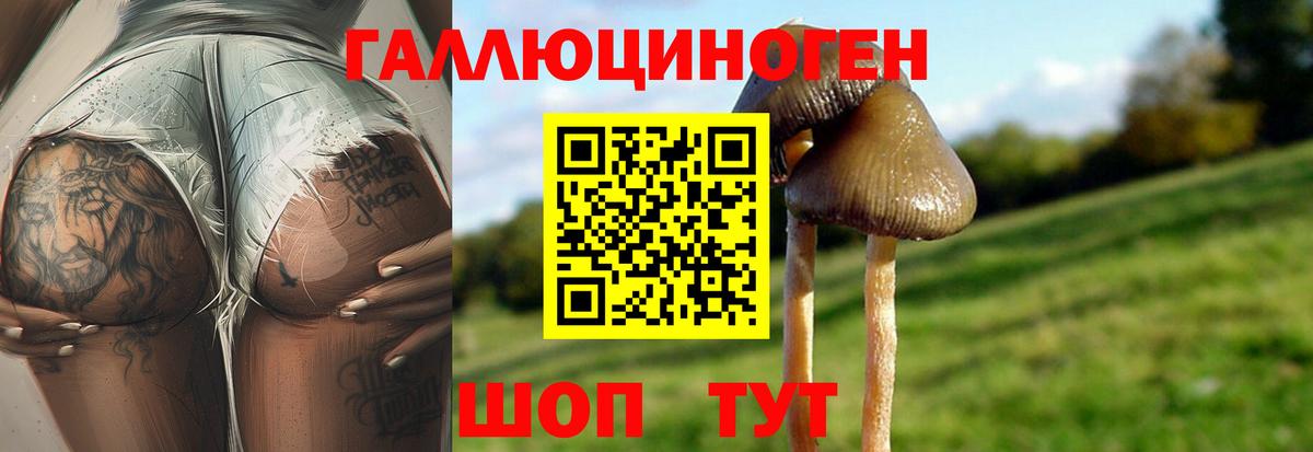 дарнет шоп  Вход с VPN  Галлюциногенные грибы Cubensis  Красноярск  Псилоцибиновые грибы мухоморы 